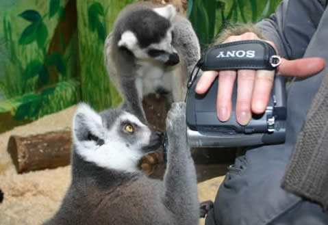 katta news kamera team